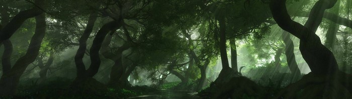 Sunlight filtering through a misty, ancient forest with a river