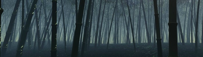 Misty bamboo forest with sunlight