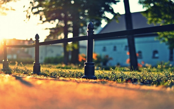 Fence in a park during sunset with bokeh
