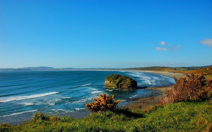 Ocean waves crash on a rocky shore with grassy cliffs