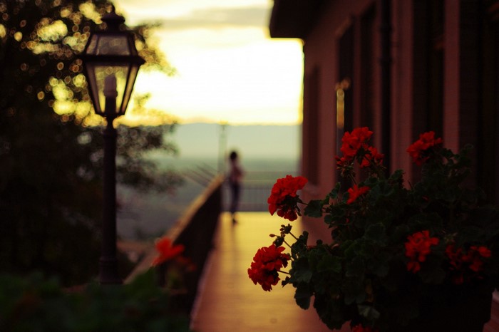 Lantern and red flowers on a balcony at sunset