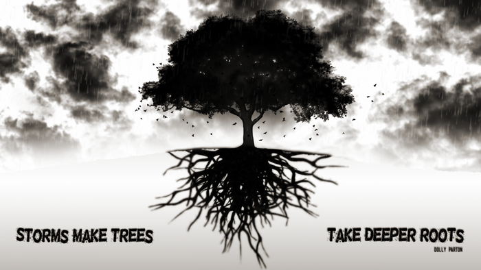 Storms Make Trees Take Deeper Roots Quote