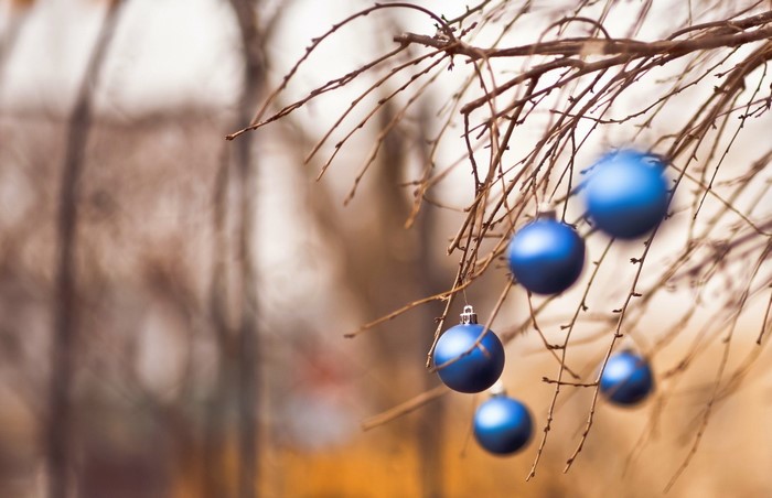 Blue Christmas ornaments hanging on bare tree branches