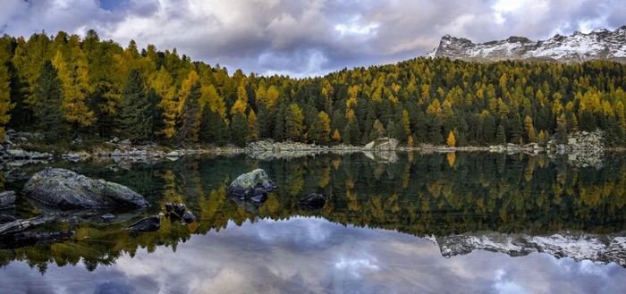 Autumn forest reflected in a mountain lake