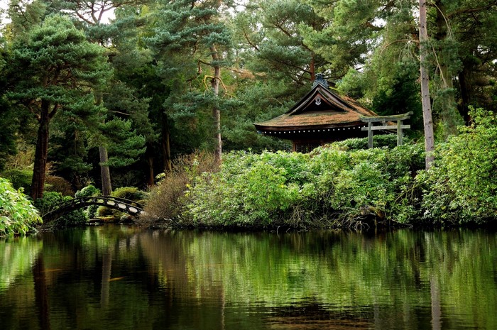Japanese Garden with Pond and Pagoda