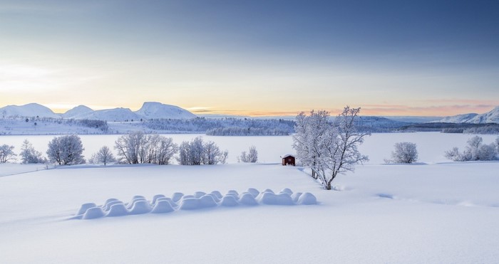 Snowy landscape with frosted trees and mountains