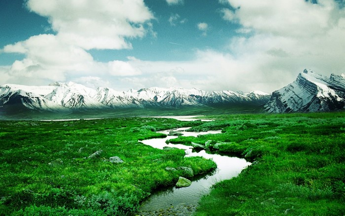 Green Meadow with Winding Stream and Snow-Capped Mountains
