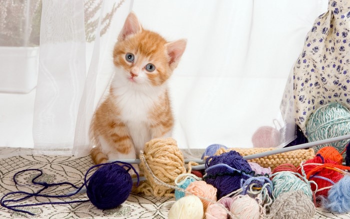 Orange tabby kitten with blue eyes and yarn