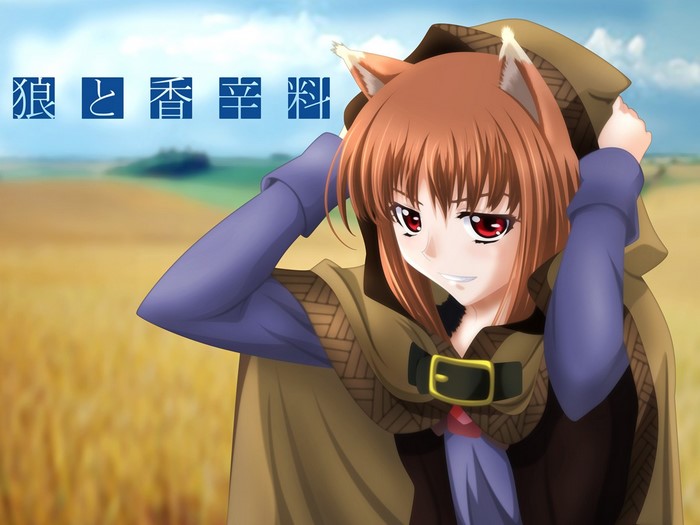 Holo from Spice and Wolf adjusting her hood