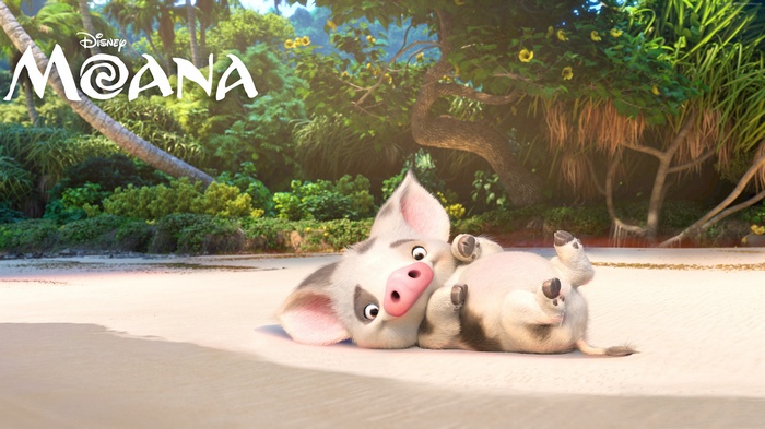 Pua the pig from Disney's Moana on a beach