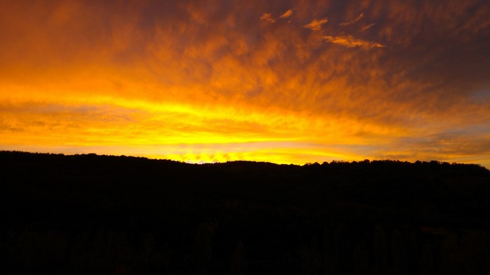 Sunset over a dark forest silhouette