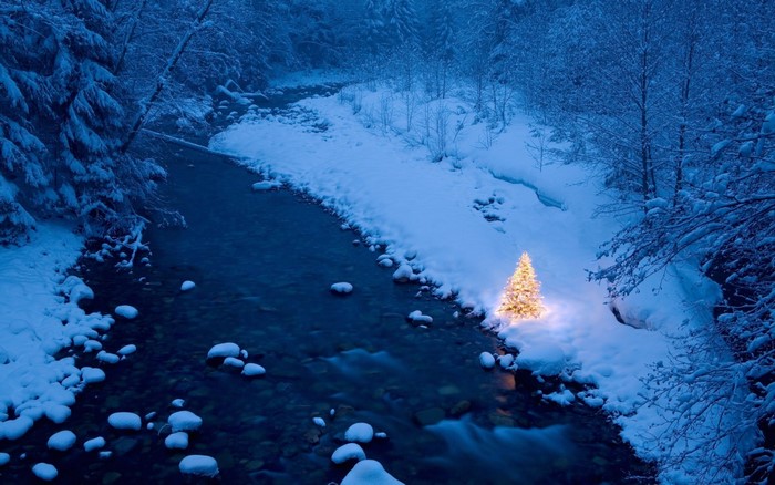 Illuminated Christmas Tree by Snowy River in Forest