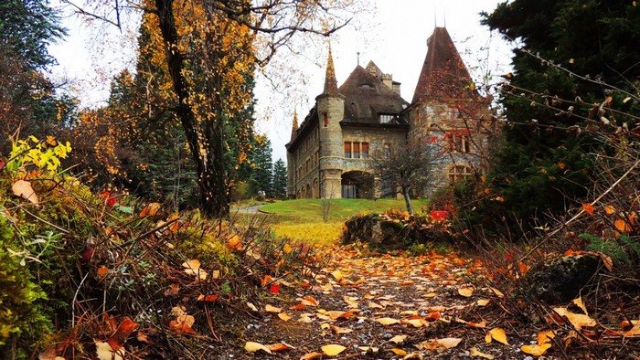 Castle in a forest during autumn with fallen leaves