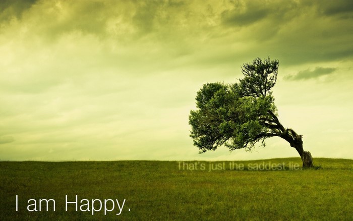 A lone tree on a grassy hill under a cloudy sky