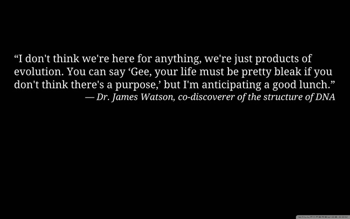 Quote by Dr. James Watson about evolution and lunch