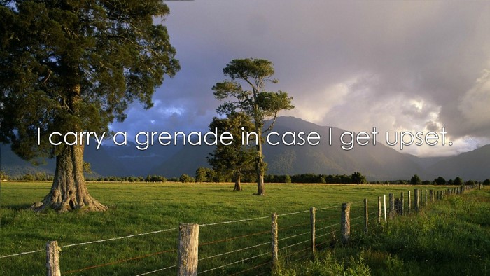 Quote about carrying a grenade