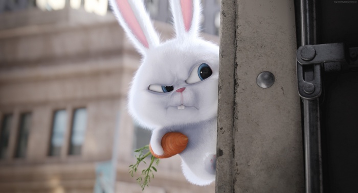 rabbit, cartoon, The Secret Life of Pets, Best Animation Movies of 2016