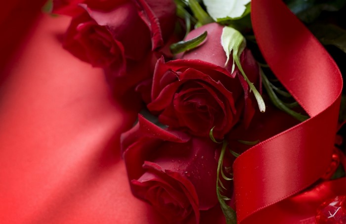 Red roses with a red ribbon