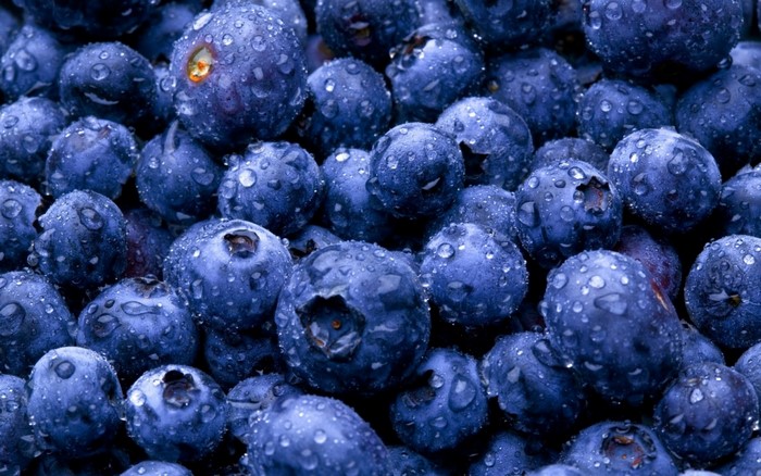 Close-up of fresh blueberries with water droplets