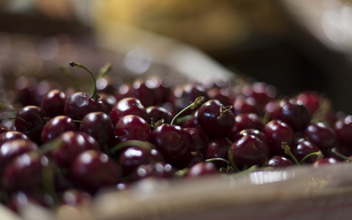 Close-up of fresh cherries in a container