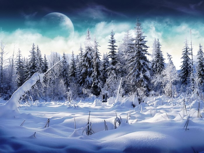 Snowy forest with a large moon in the sky