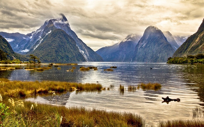 Milford Sound Fiordland National Park New Zealand