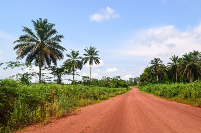Dirt road through a tropical landscape with palm trees