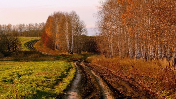 Autumn landscape with a winding dirt road through fields and trees