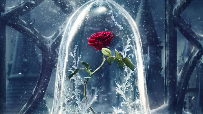 Enchanted rose under glass dome from Beauty and the Beast
