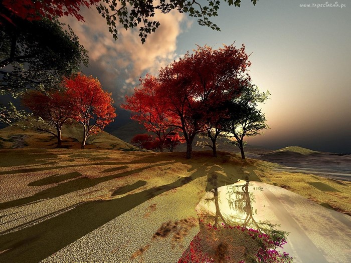Autumn landscape with trees and reflection