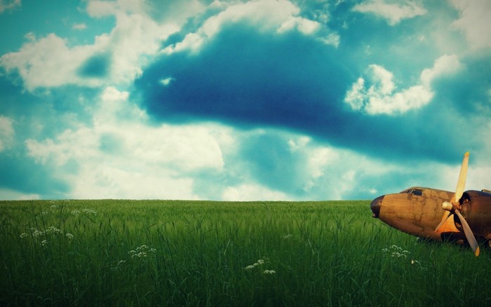 Airplane in a green field under a cloudy sky