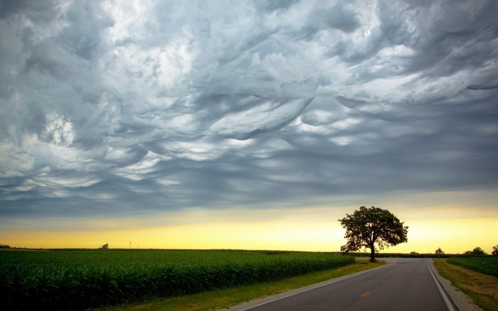 Mammatus clouds over a rural landscape with a road and field