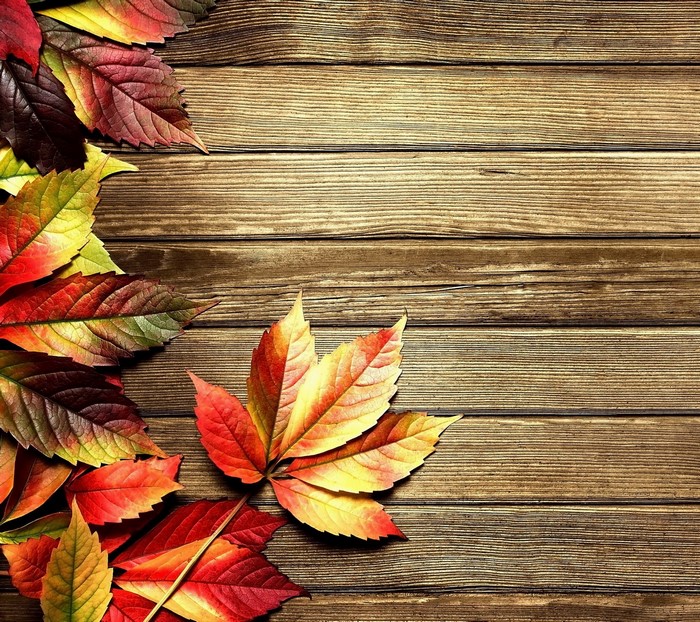 Autumn leaves on a wooden surface
