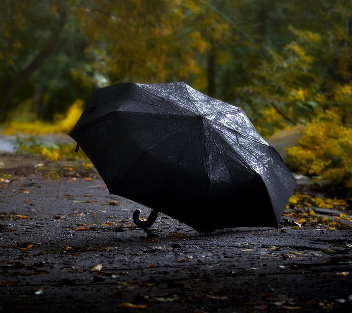 Black umbrella on a wet path in autumn