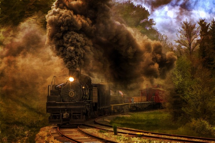 Steam train billowing smoke on tracks through trees