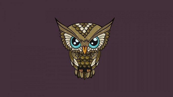 Minimalist cartoon illustration of an owl