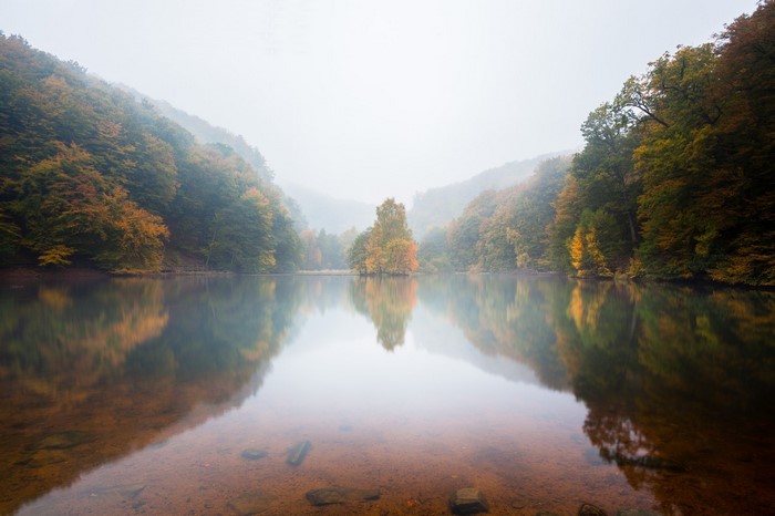 Autumn forest reflected in a misty lake