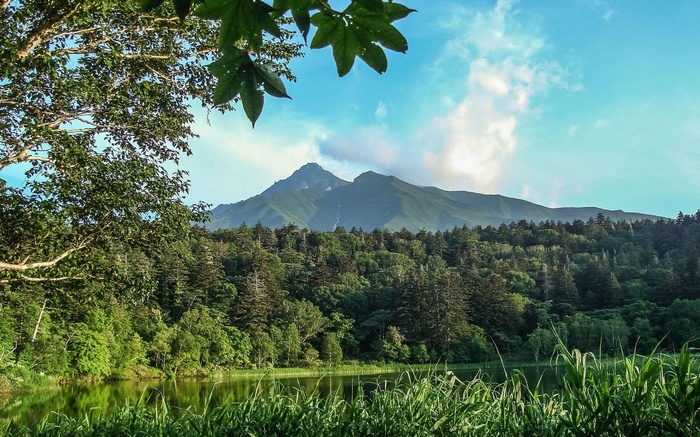 Mountain lake with forest and trees in foreground