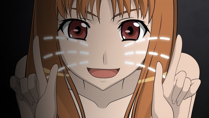 Holo from Spice and Wolf anime illustration