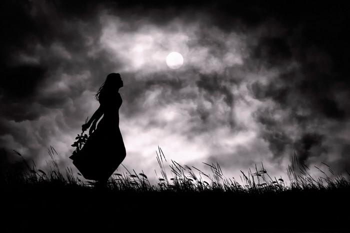 Silhouette of a woman holding flowers under the moon