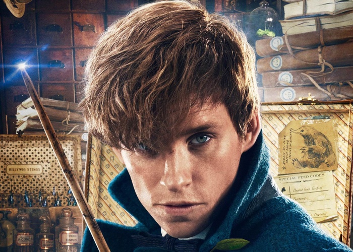 Newt Scamander from Fantastic Beasts