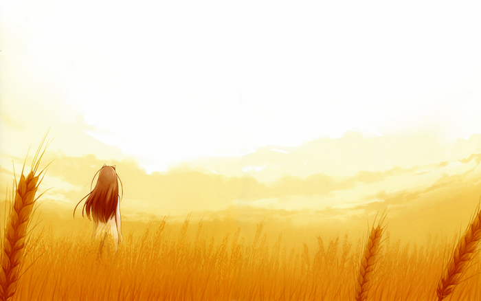 Holo from Spice and Wolf in a wheat field