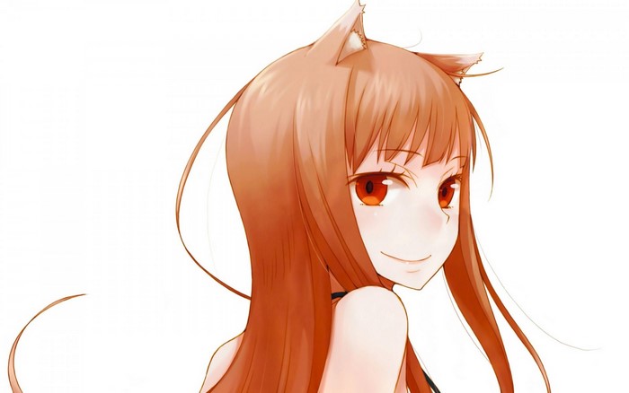 Holo from Spice and Wolf anime illustration