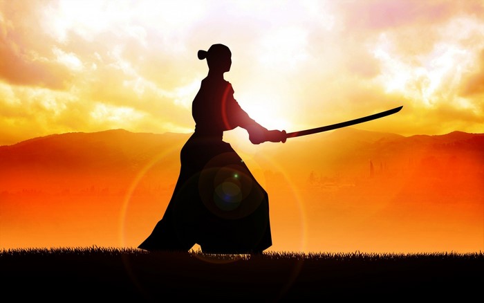 Silhouette of a person with a katana at sunset
