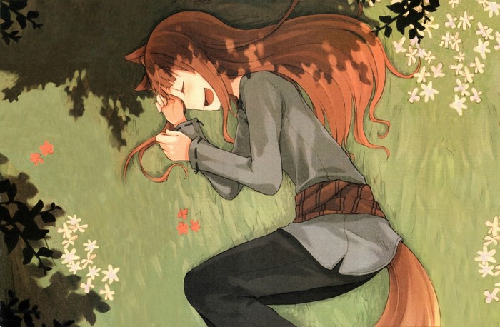 Holo from Spice and Wolf sleeping in a field