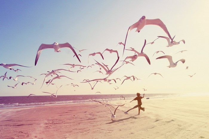 A person running on a beach with seagulls flying