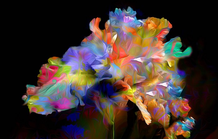Abstract colorful flower petals with black background