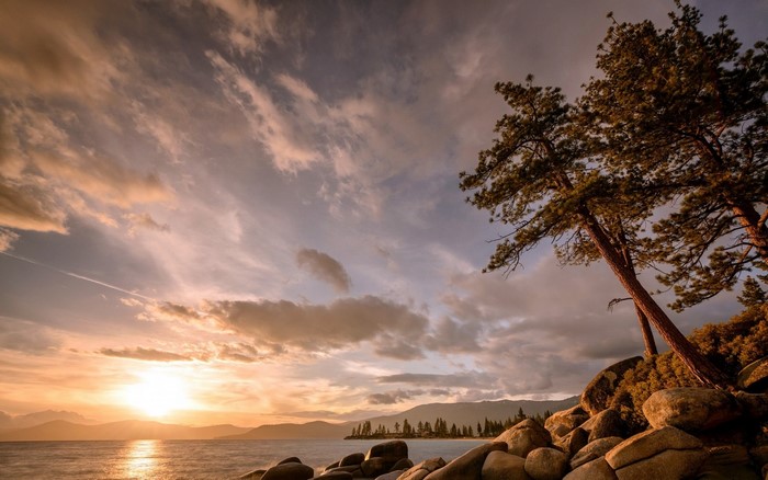 Sunset over a rocky coast with pine trees