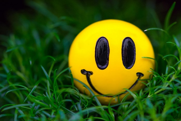 Yellow smiley face in green grass