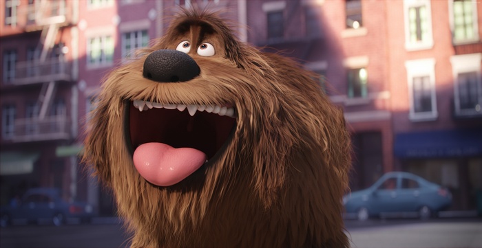 Duke from The Secret Life of Pets